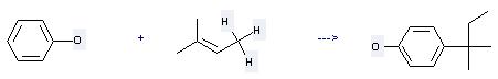 4-tert-Amylphenol can be prepared by phenol with 2-methyl-but-2-ene. 